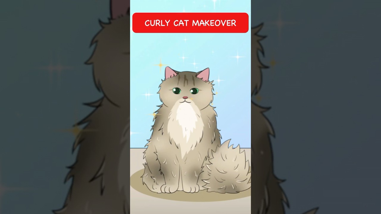 Curly Cat przechodzi metamorfozę
