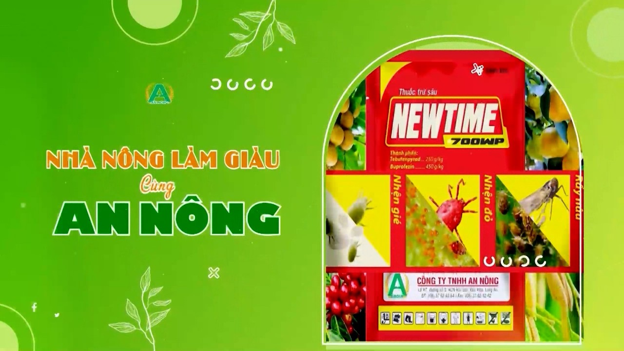 Nhà nông làm giàu cùng An Nông: Để cam quýt ngon, đẹp, sạch bệnh | ĐNNRTV
