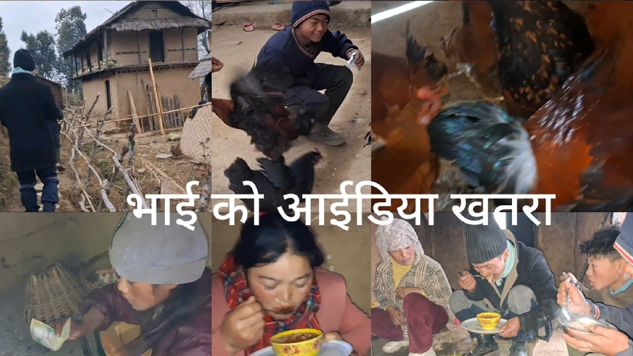 Hami bhaibohini sanga vetghat gare ra fakidai