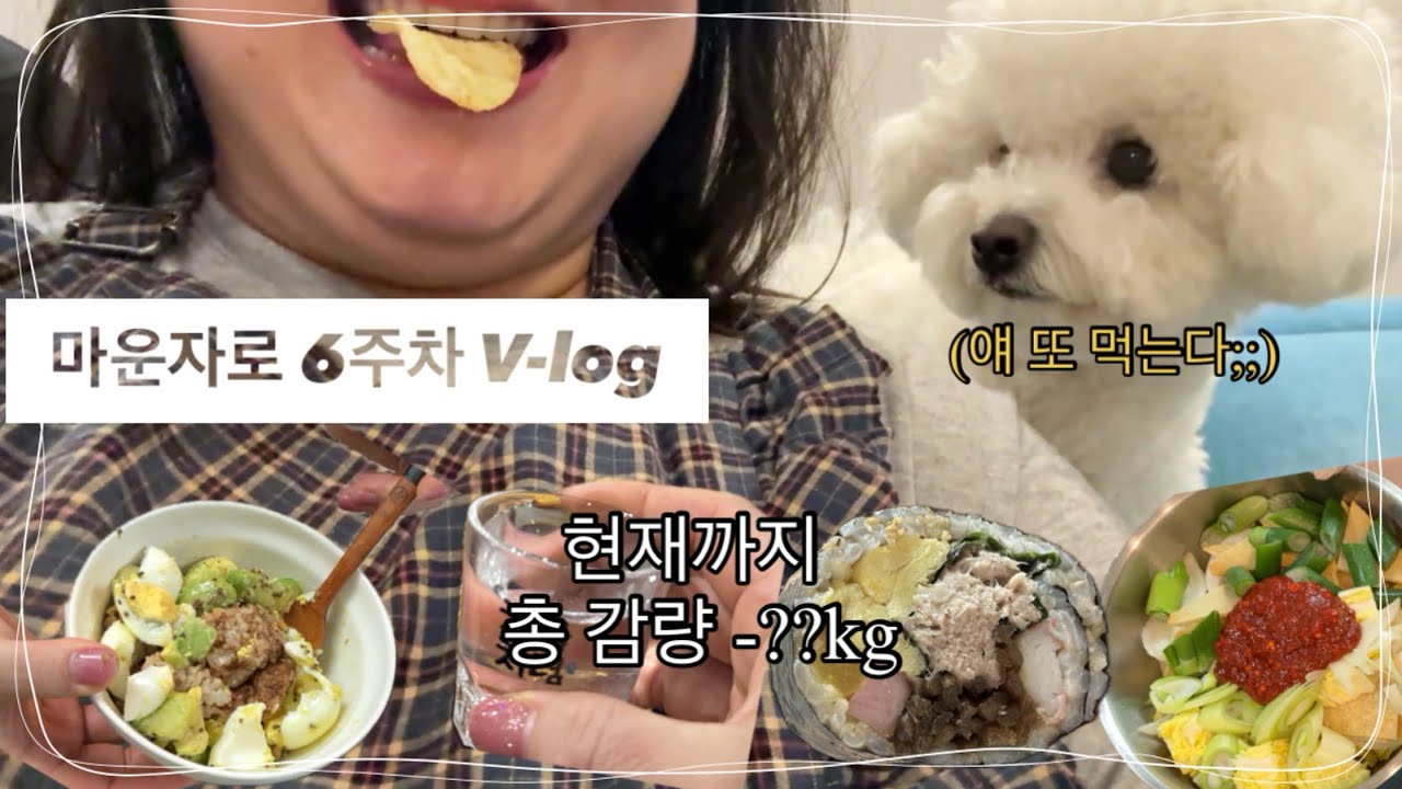 마운자로 6주차 | 육아 끝 → 드디어 운동 시작 ?  