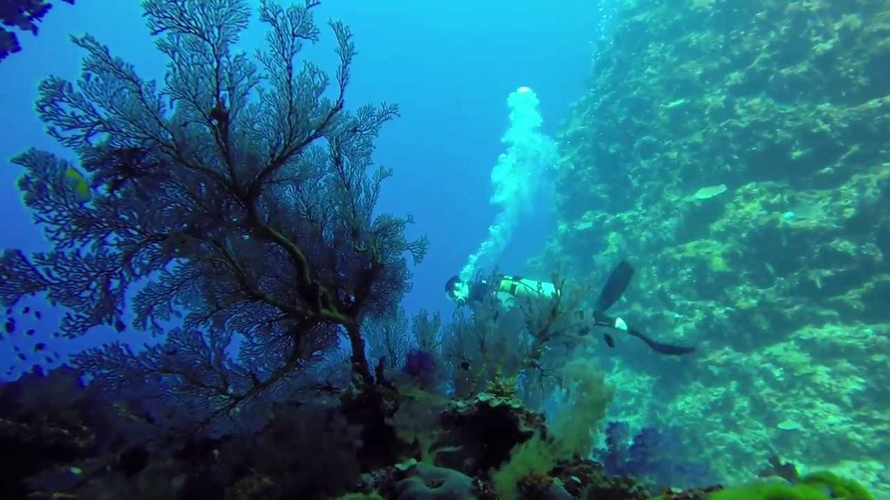 Scuba Diving Qamea & Taveuni Islands Fiji with GoPro Black Hero3+