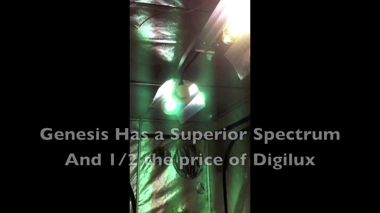 Digiulx Versus Genesis Lamps - Which is Best 600w MH Metal Halide - Better than Digilux