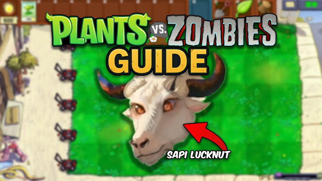 Plants vs. Zombies Guide | Main PvZ tapi diganguin Sapi