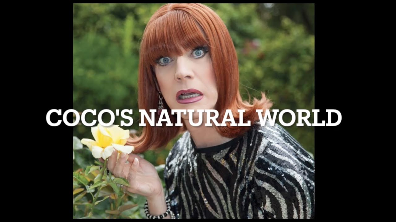 Miss Coco Presents: Coco's Natural World
