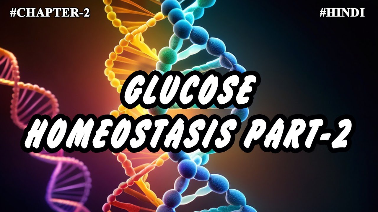 Chapter -2 || Metabolism Of Carbohydrates (Part-15) || Glucose Homeostasis