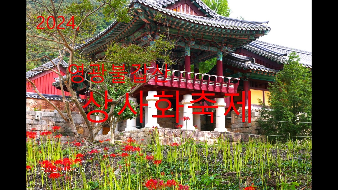 2024 .  영광불갑산,  상사화축제(9/24방문)