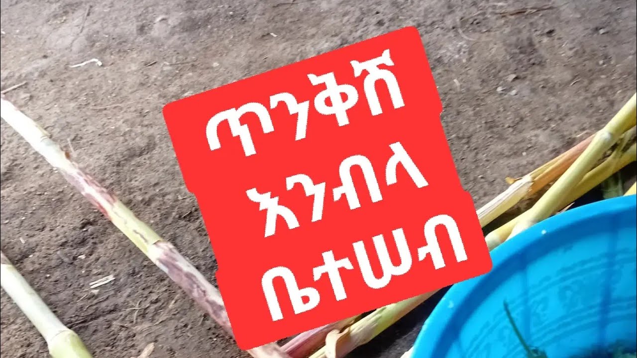 Zemzem You Tube ኑ አብረን እንደግ