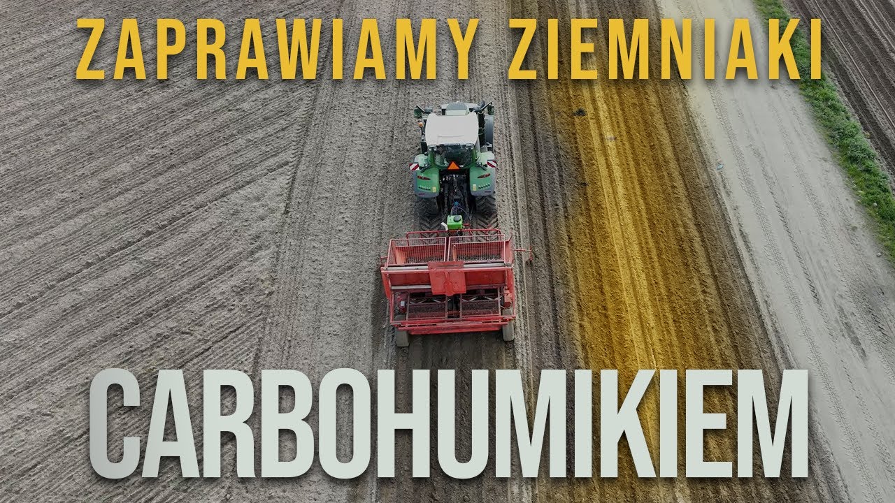 Zaprawiamy ziemniaki kwasami humusowymi