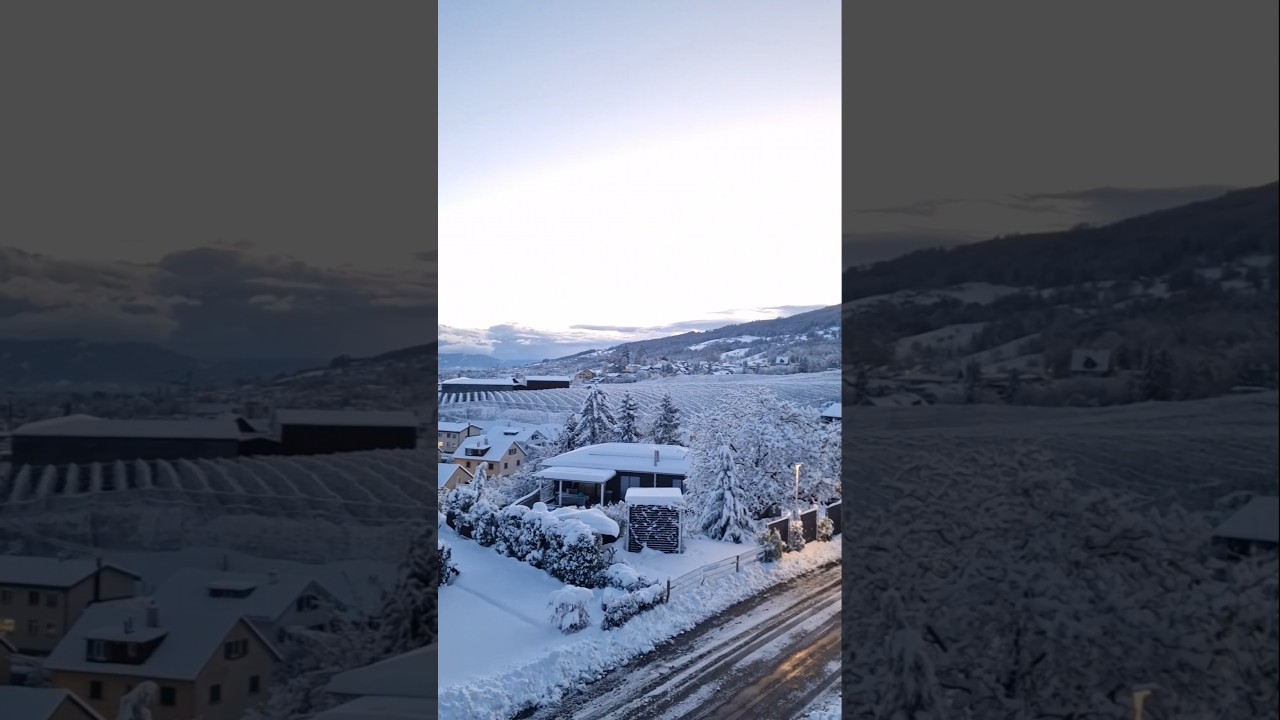 Утро после снегопада на Боденском озере. Швейцария