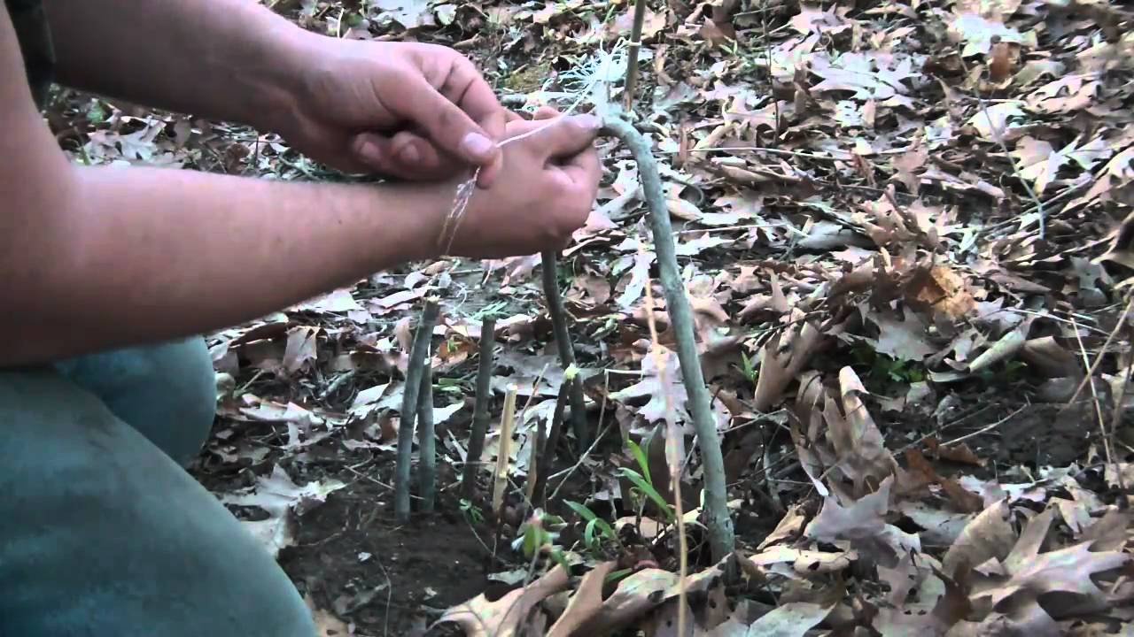 TGO Survival Snare Making, Squirrel Snare!