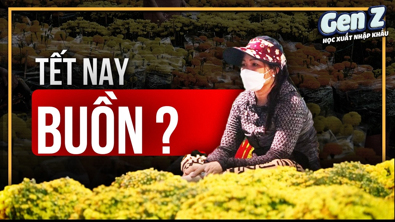 TẾT 2026: Điều Gì Khiến Không Khí Tết Năm Nay Lại Buồn Như Vậy ?