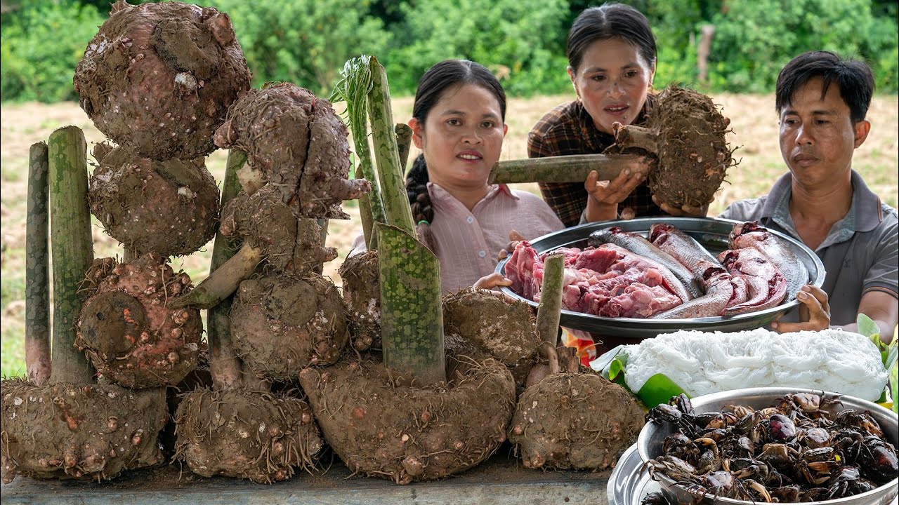 🌱 1-Year Elephant Foot Yam Harvest! Epic Khmer Curry Soup with Crab, Fish & Pig Bone 🍲 | Kitchen