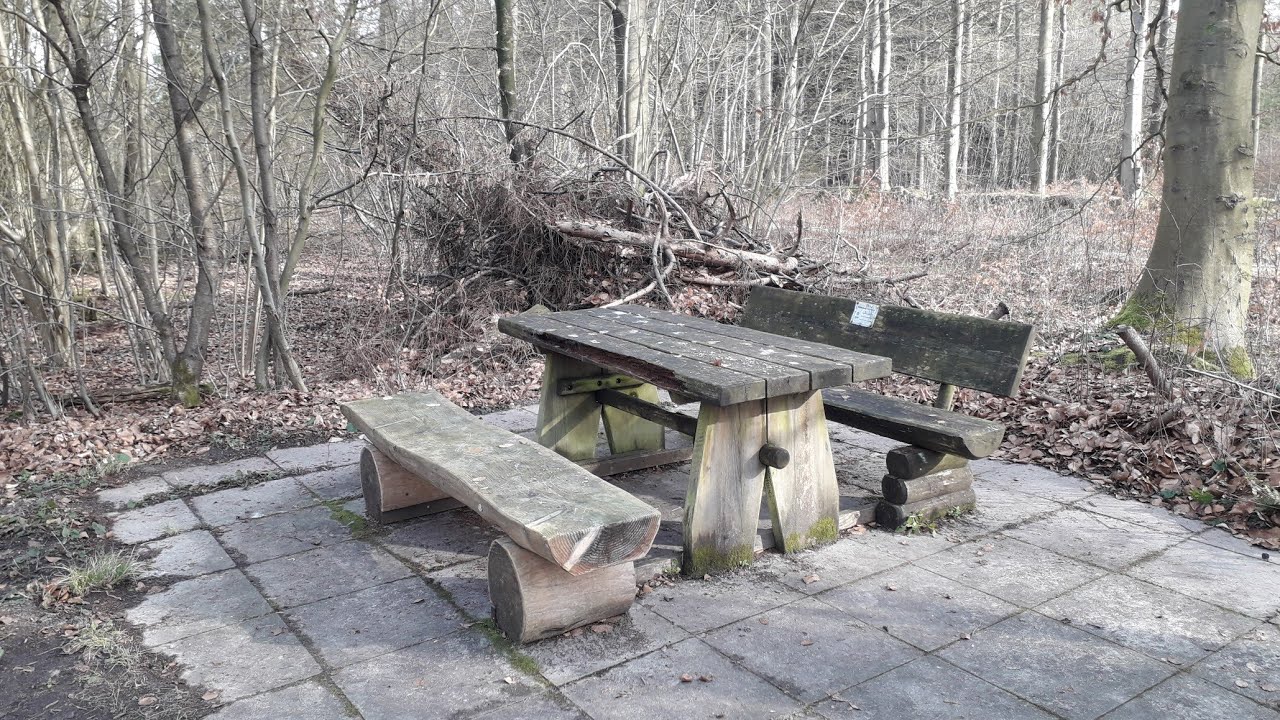 Wentorfer Lohe 04 - Impressionen B