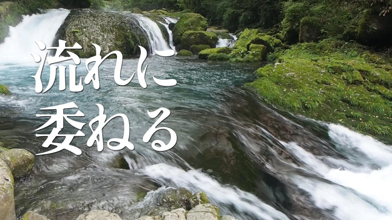【負の感情を流す】深山の渓流とシンギングボウル 30分｜聴くだけで邪気を払い、強運を呼び込む｜波動 浄化｜Shruti Box & Tibetan Bowl