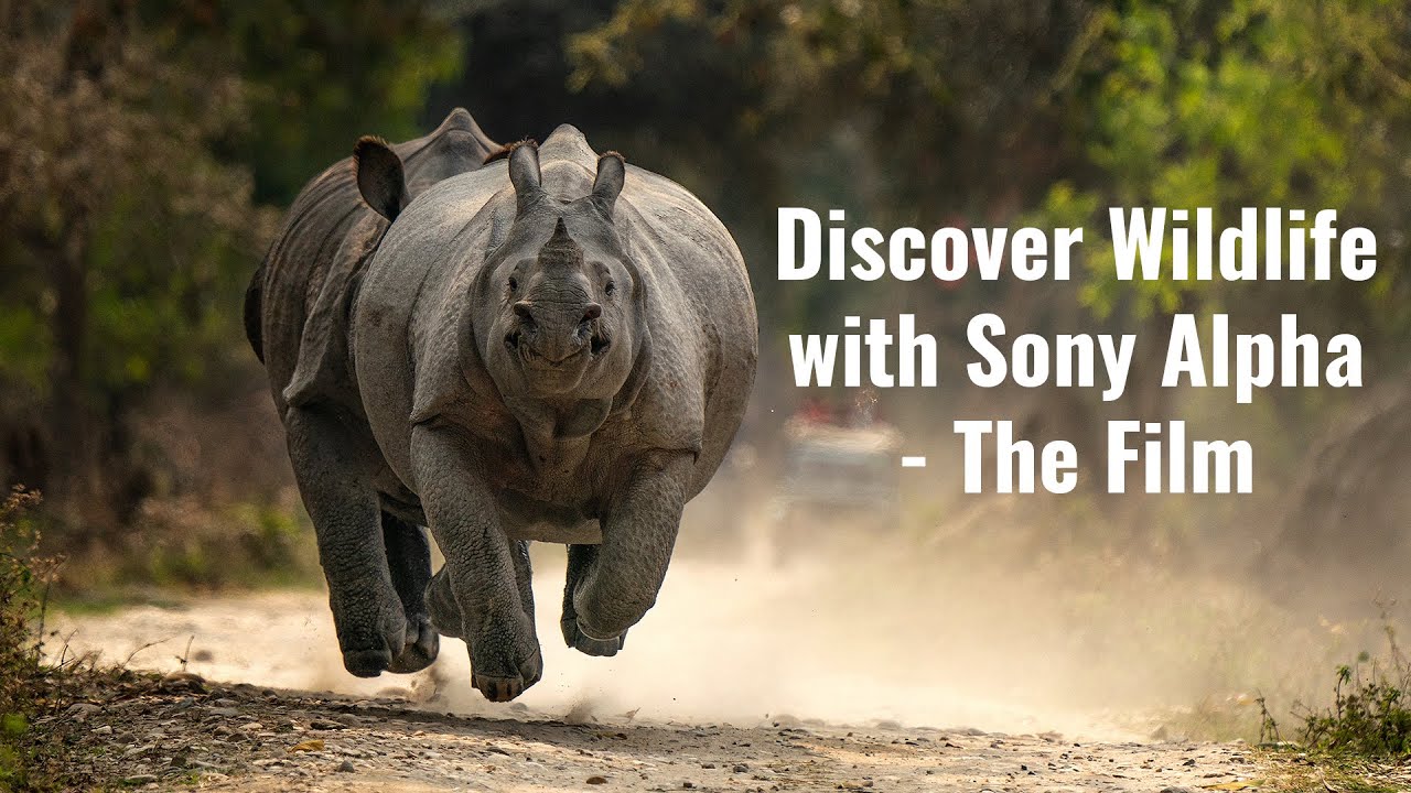 Discover Wildlife with Sony Alpha - The Film