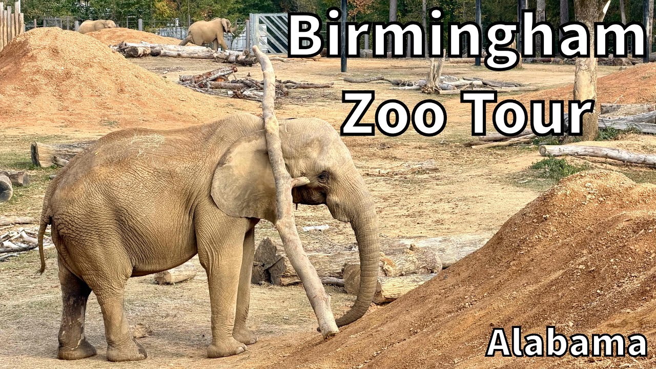 Tour of the Birmingham Zoo - Birmingham, Alabama - USA