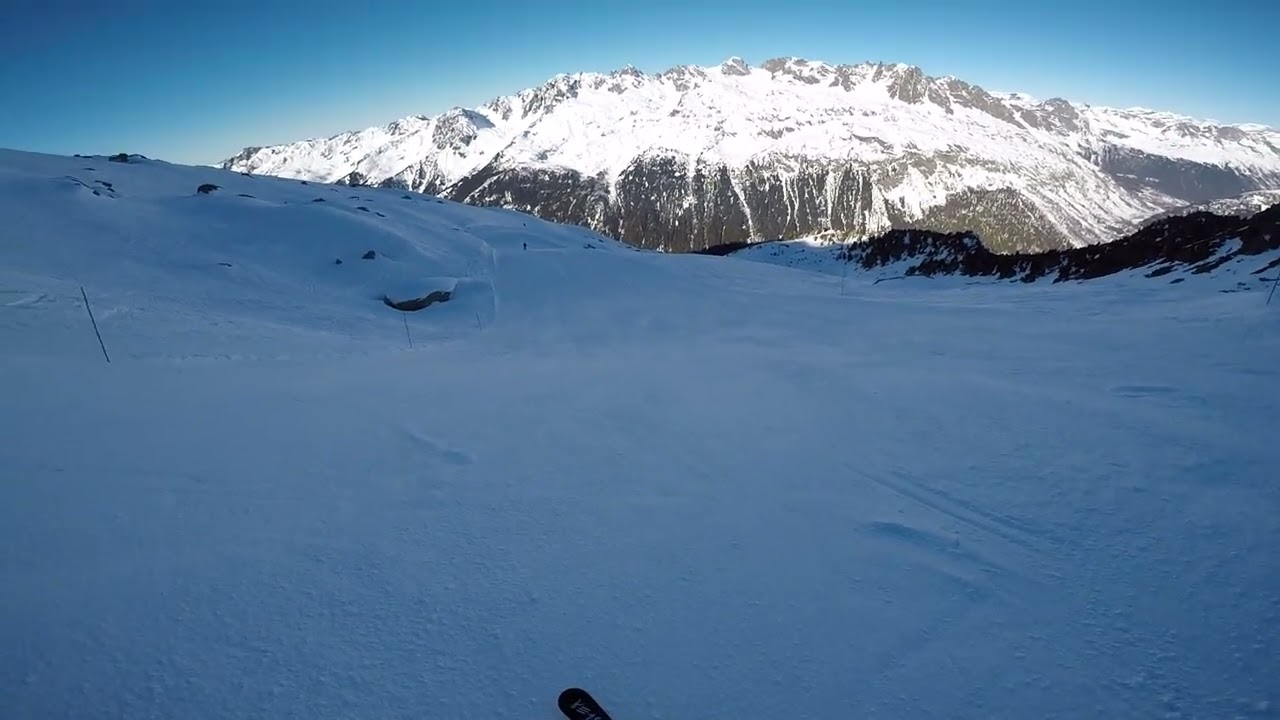 Chamois (black), Arolles (blue), Remuaz (black), Les Grands Montets - Argenti&egrave;re, France - 01/2022
