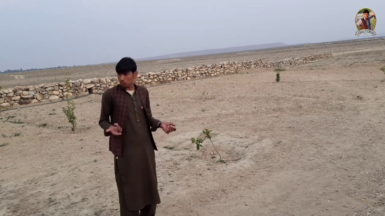 ځان ښودنه/show off