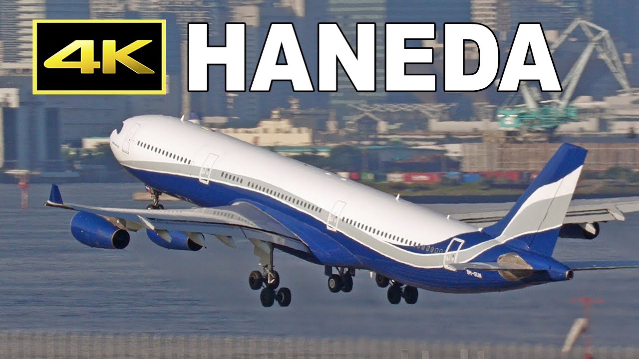 [4K] 見たことのないA340が羽田に！ これはどこの航空会社の機体？（2024年10月12日）/ Tokyo Haneda Airport on October 12, 2024