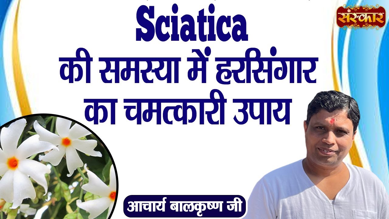 Sciatica की समस्या में हरसिंगार का चमत्कारी उपाय ! Sciatica Problem ! Acharya BalkrishnaJi Ke Nuskhe