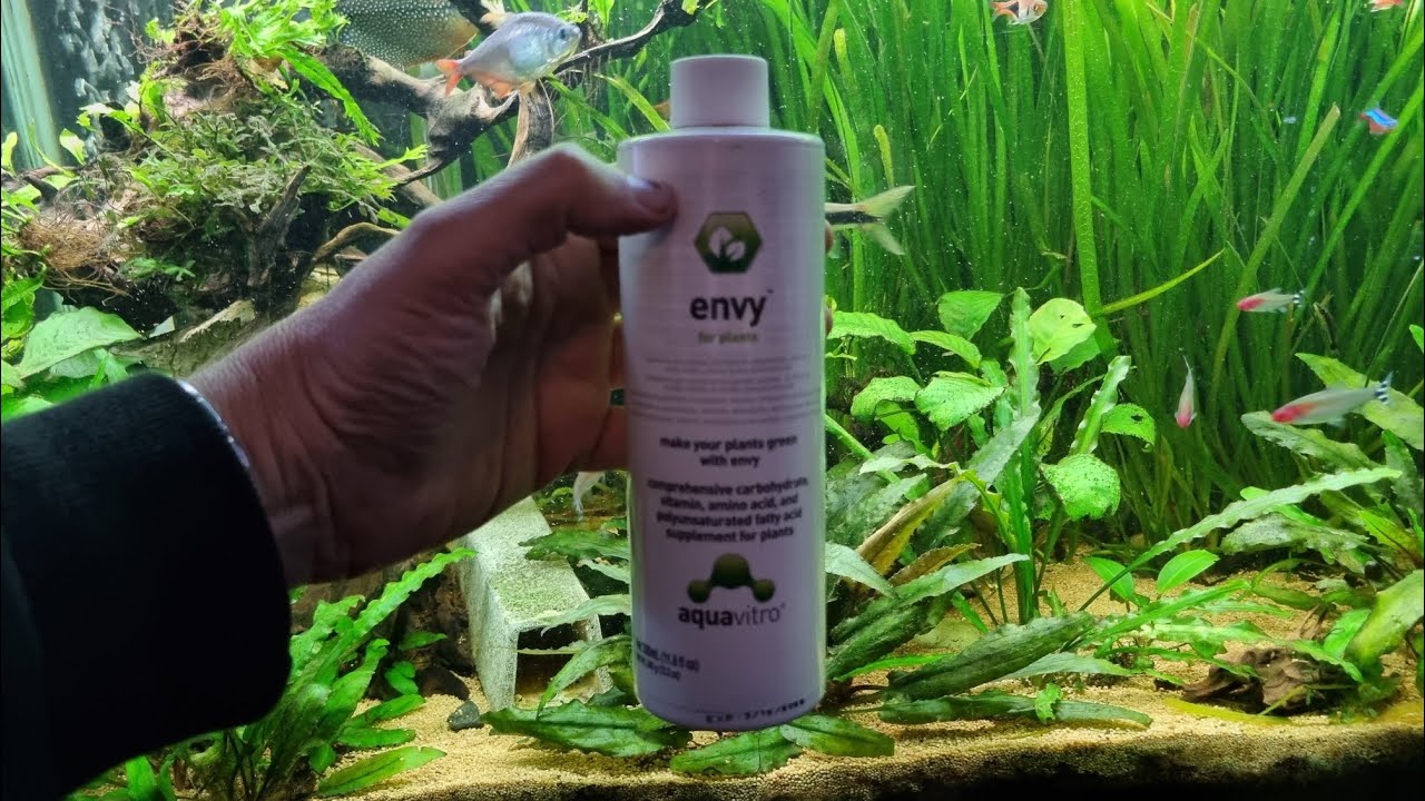 AQUAVITRO ENVY - Lets try this PLANT FERTILIZER for 2 months and see what happens.