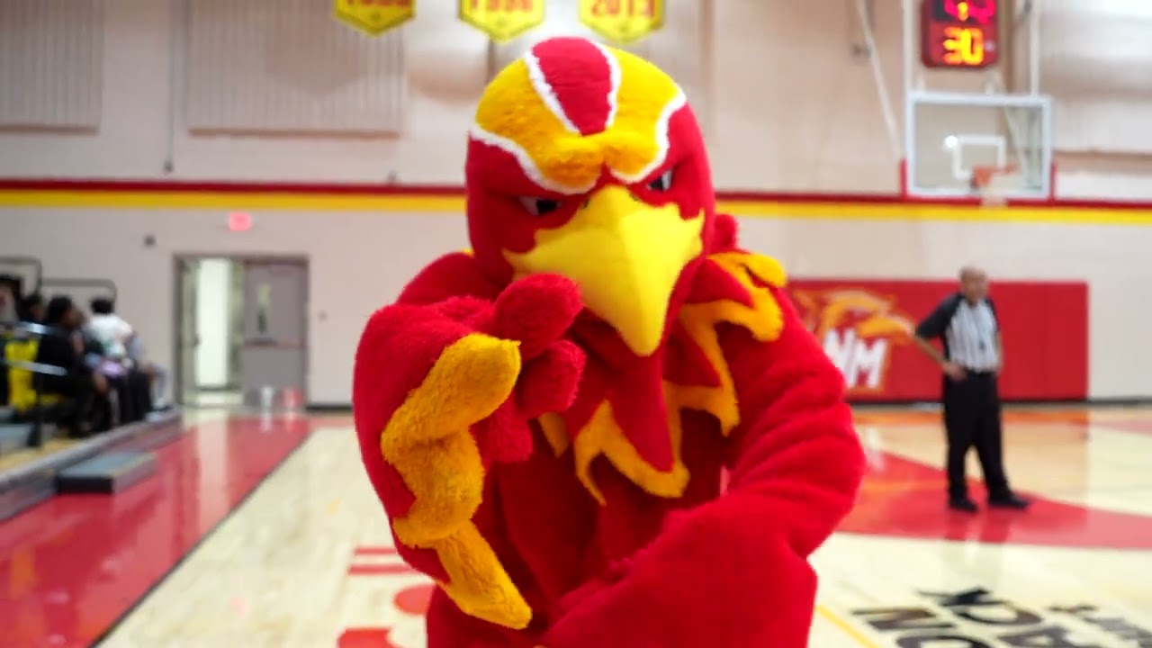 NMJC Basketball