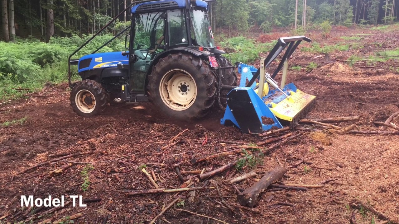 Demo Forest 2017