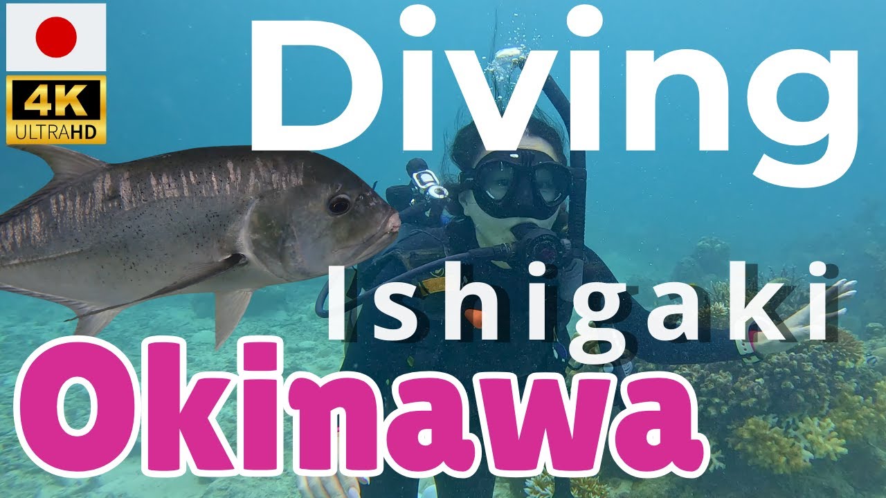 🇯🇵 [4K]  Okinawa, Japan: Diving and Yaima Village on Ishigaki Island