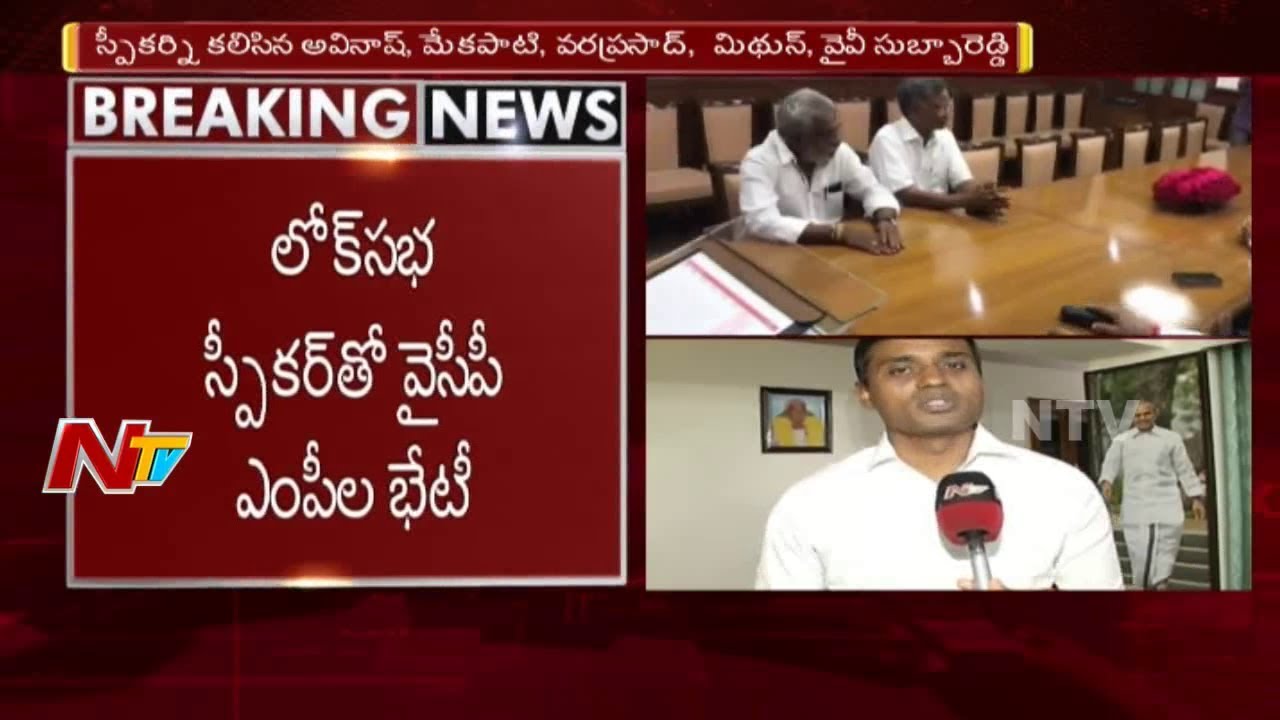 YSRCP MP Mithun Reddy Face To Face | YCP MPs Meet Lok Sabha Speaker Sumitra Mahajan | NTV
