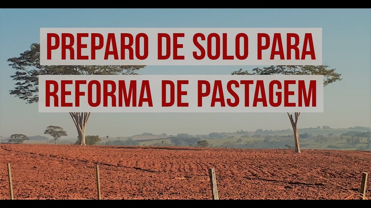 PREPARO DE SOLO - REFORMA DE PASTAGEM