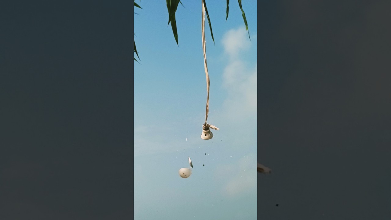 Powerful pellet gun shooting #shorts #youtubeshorts #ytshorts #gunzone #viralvideo