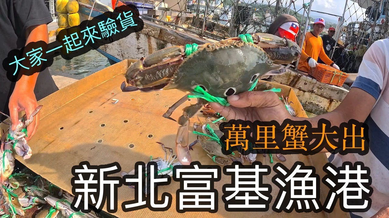 秋天吃蟹怎能不到富基漁港品嚐🤭🤭🤭 大家一起來驗貨 一次幾百隻螃蟹讓您看到過癮【跟著藝術家來放風】147 中文字幕 #螃蟹 #萬里蟹 #花蟹 #三點蟹