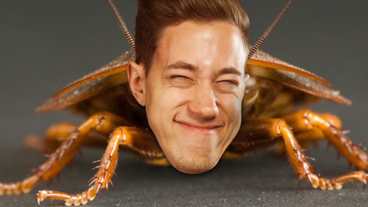 Geballte Hartz 4 Power!!! | Cockroach Simulator