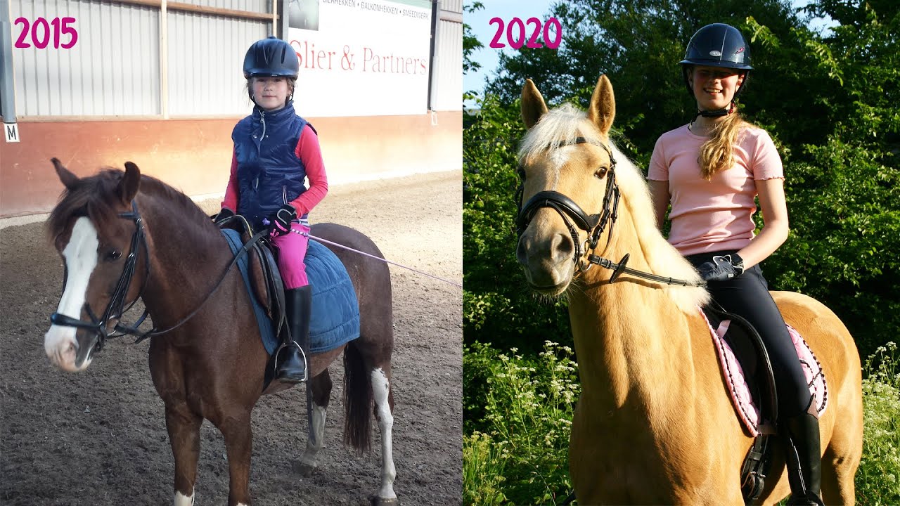 Paardrijden leren, wat bereik je in 5 jaar   * Hart voor Paarden *