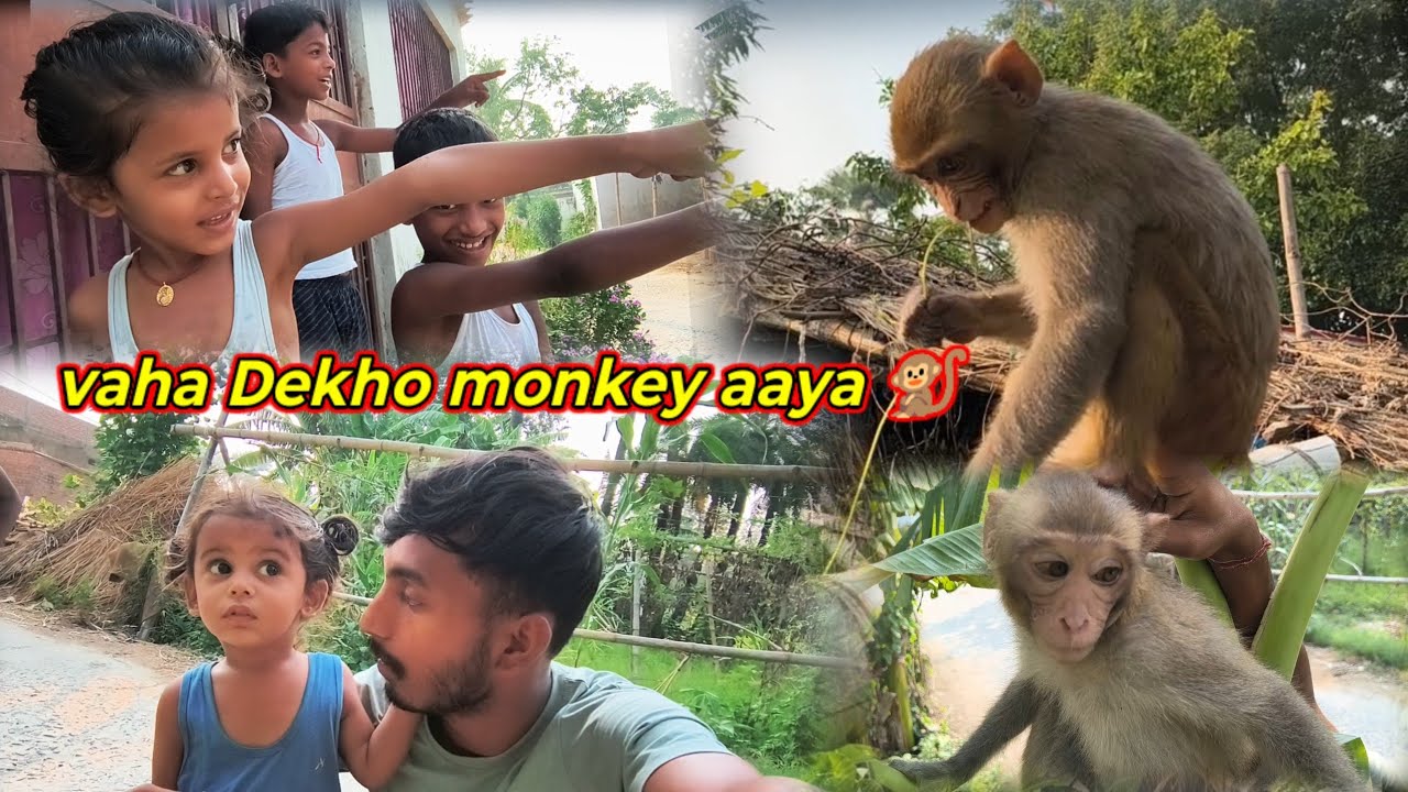 Guys Aakhirkar Bandar Se Dosti Ho Hi Gai