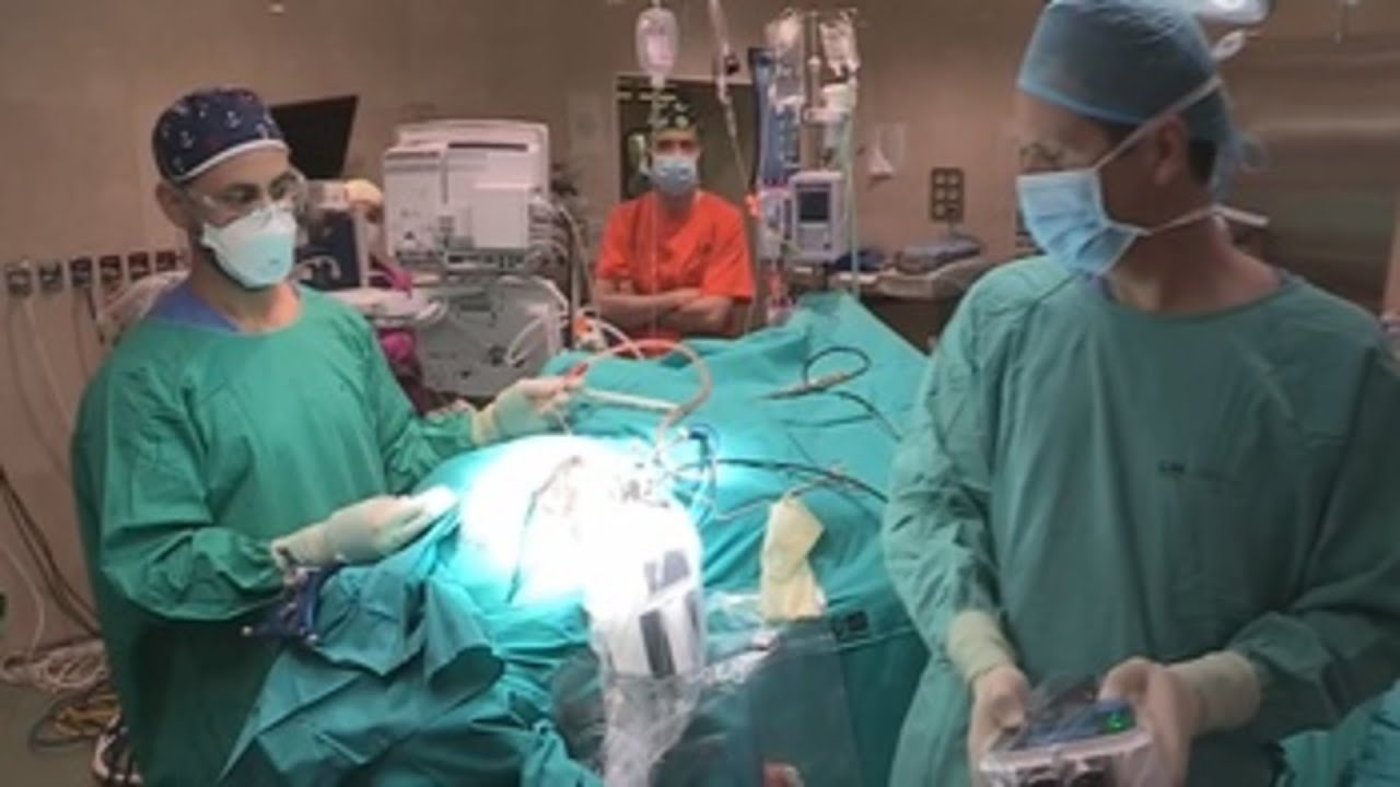 Un robot de medio kilo y electrodos de 1 mm para atajar la epilepsia