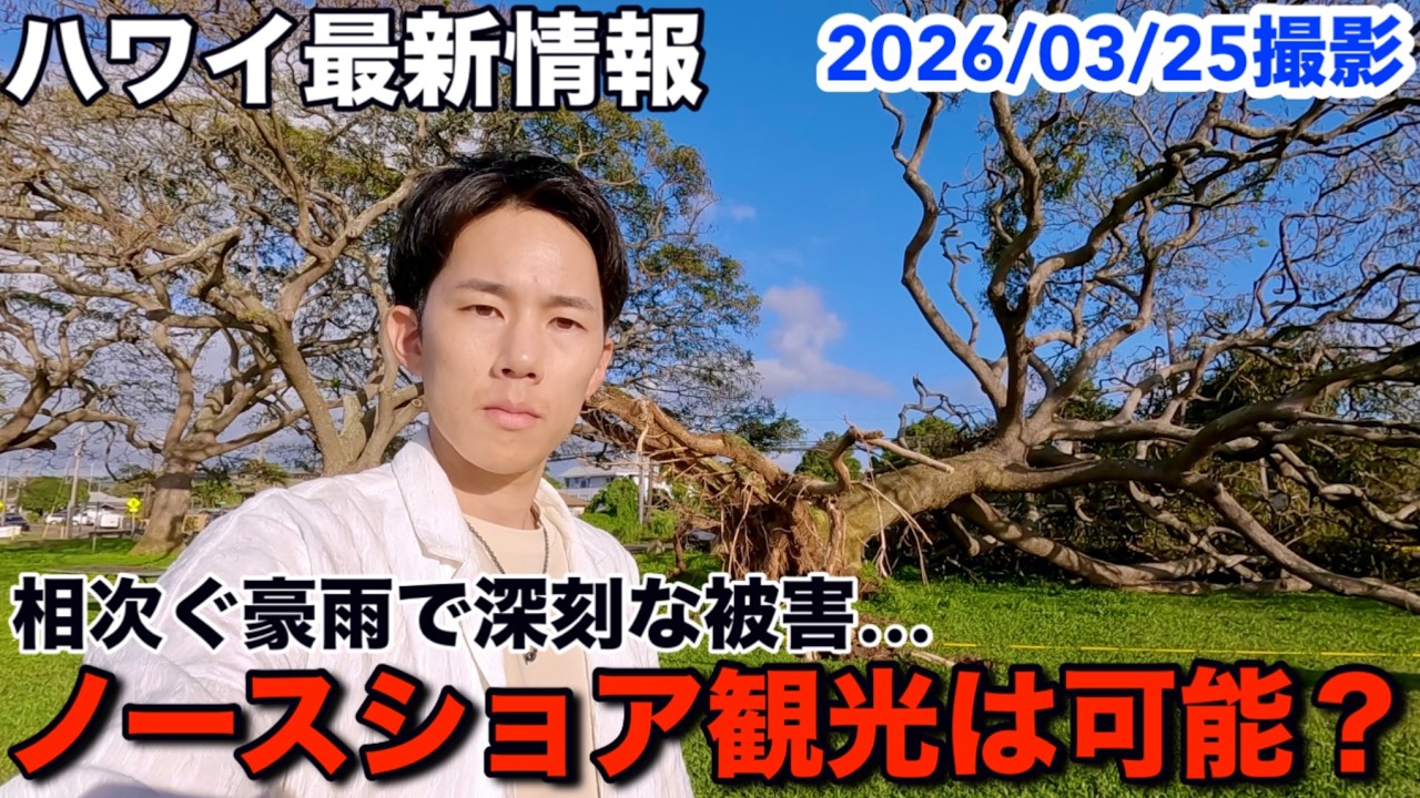 【ハワイ最新情報】今は行かない方がいい？過去20年で最悪の豪雨がもたらした被害を現地からお伝えします