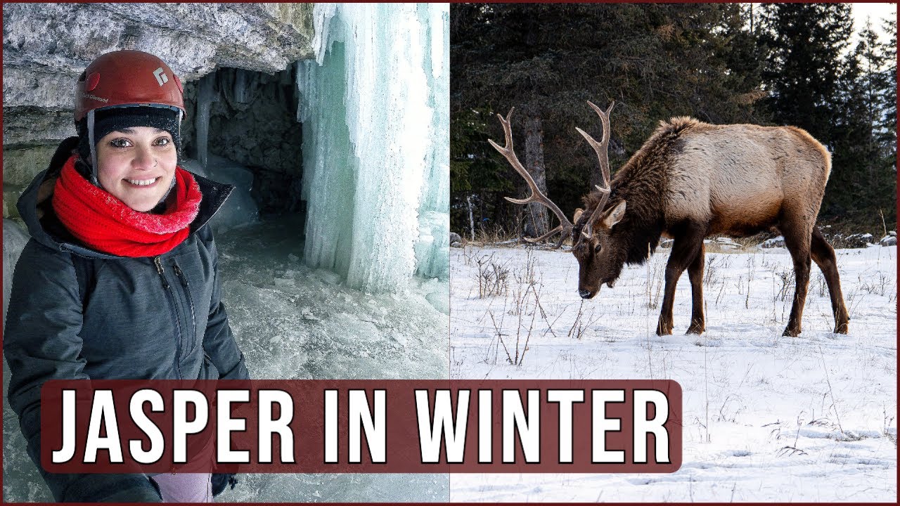 Visiting Jasper National Park in Winter | Alberta, Canada