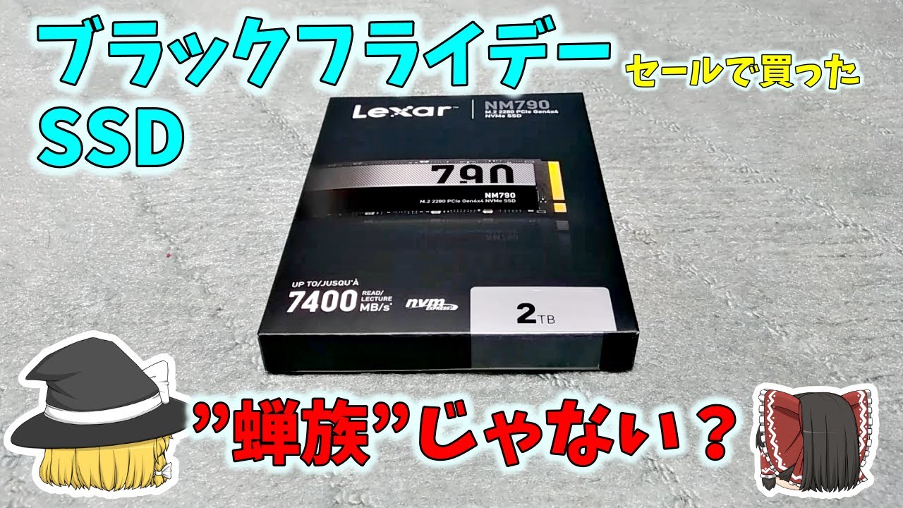 【ブラックフライデー】蝉族のつもりで買った中華SSDが・・Lexar NM790 2TB【SSDガチャ】