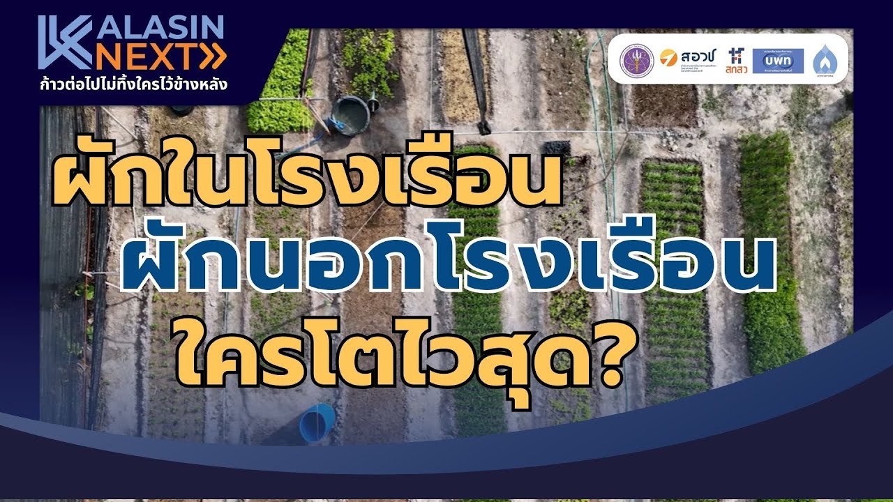 การเปรียบเทียบการเจริญเติบโตของพืชในโรงเรือนกับนอกโรงเรือน