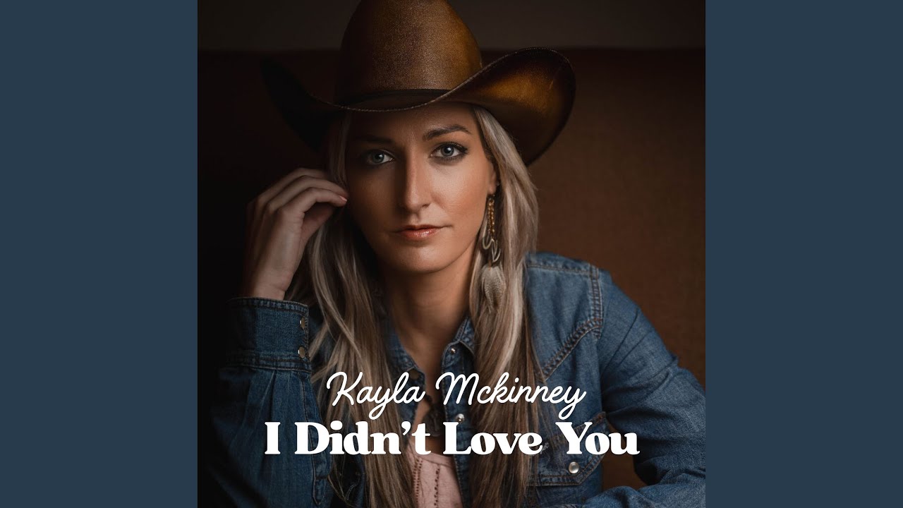 I Didn't Love You