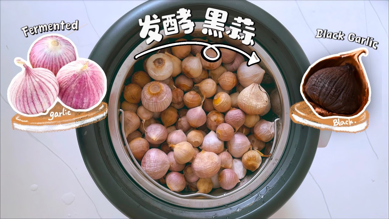自制黑蒜全过程｜只需要电饭煲21天 🧄 家庭健康零食  How to Make Black Garlic at Home