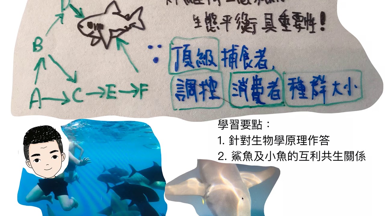 DSE BIO2018A6 頂級消費者的生態位, 鯊魚及在旁小魚的互利共生