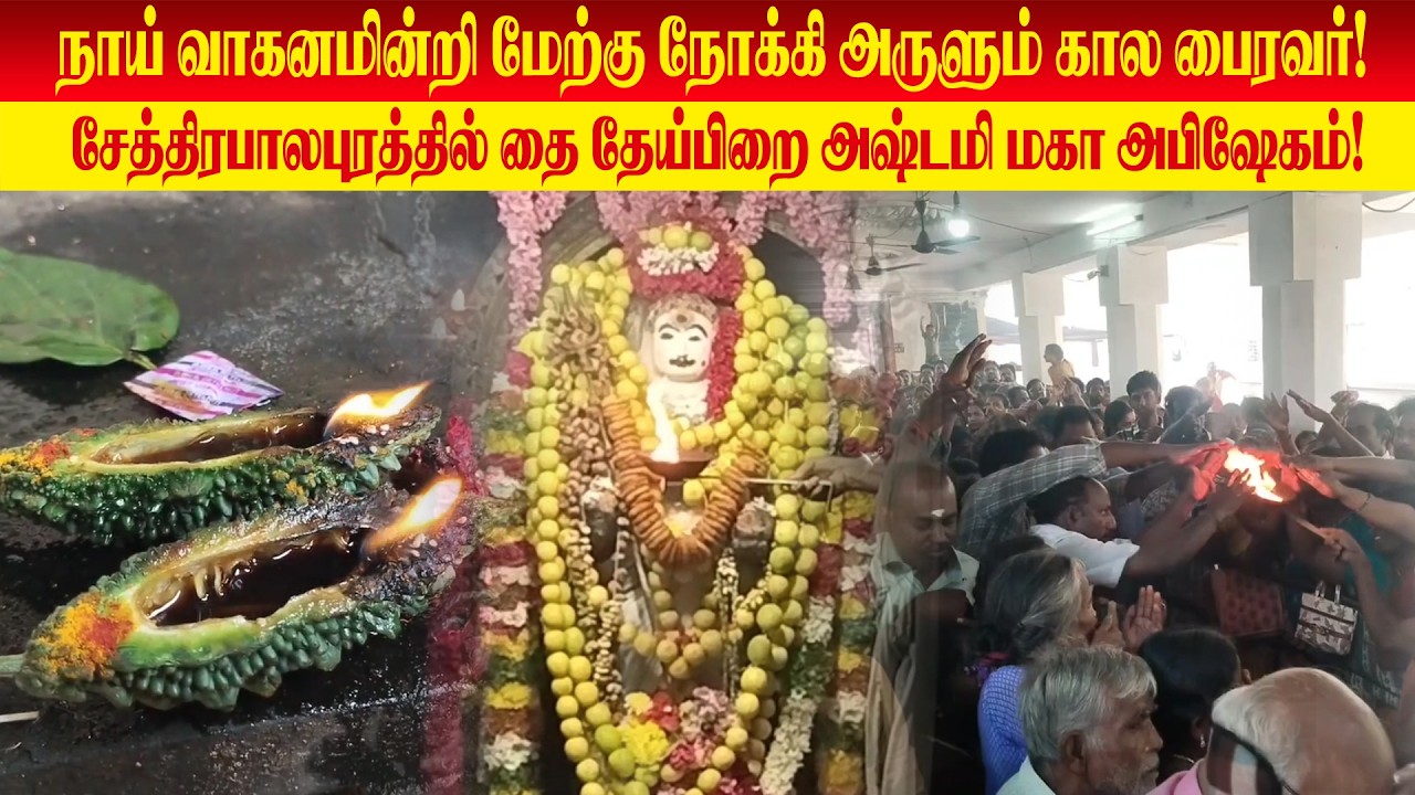 நினைத்த காரியம் கைகூடும்! சேத்திரபாலபுரம் ஆனந்த காலபைரவர் சிறப்பு வழிபாட்டில் திரளான பக்தர்கள்!
