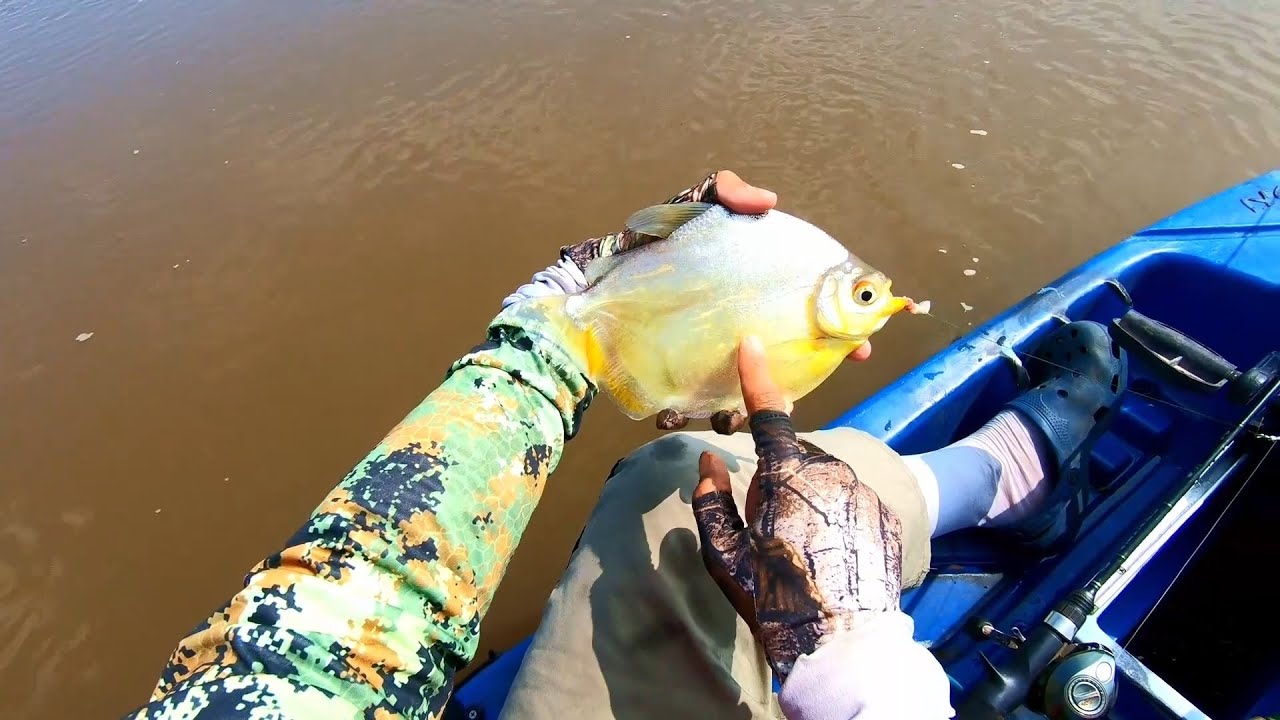 Bottom Fishing For... Silver Dollars? A Day Full of Surprises!