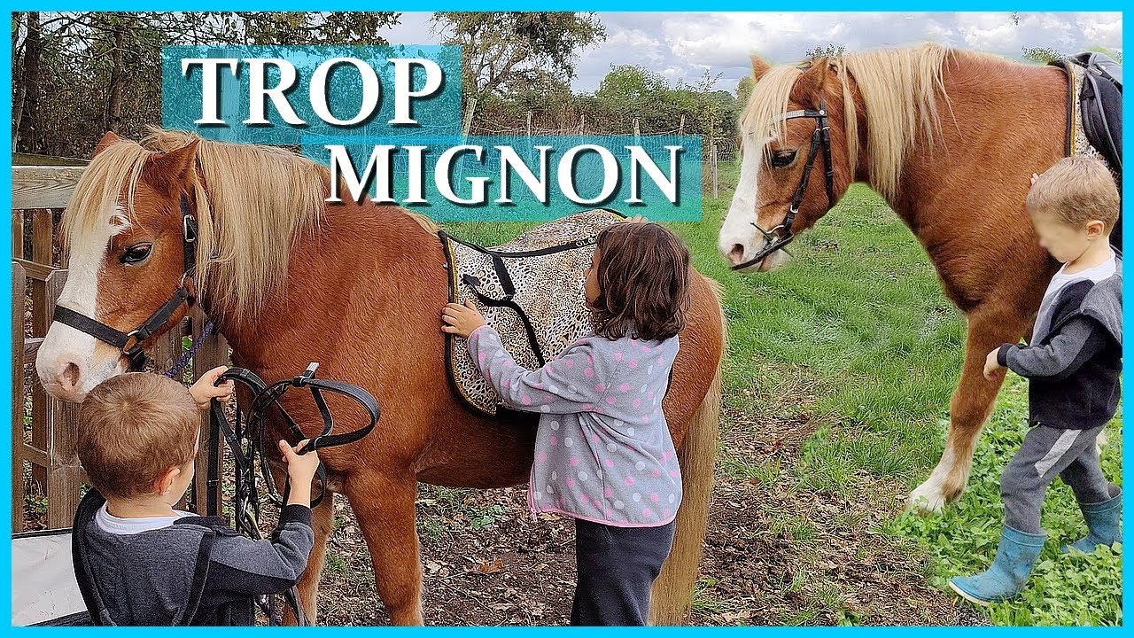 ACE FAIT DU BABYPONEY 👶 ANGE OU DEMON ? -  Je me retrouve sur le toit de la sellerie