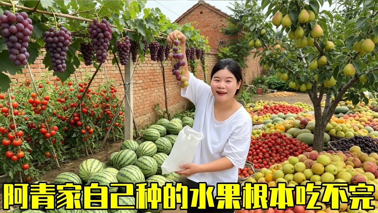羡慕吗？阿青家门口水果熟透，摘到手软也吃不完的田园日常！【青妹妹】