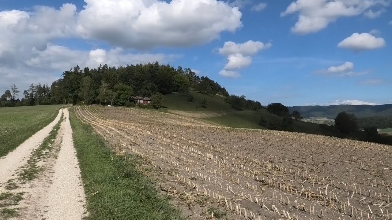 Schleitheim Seebibruch