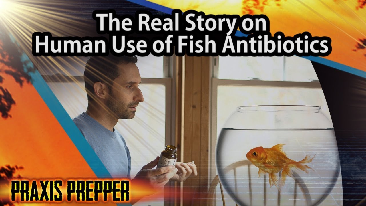 Fish Antibiotics for People - Bad Idea???