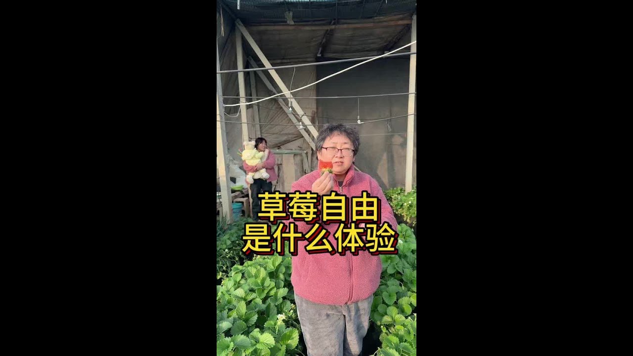 实现草莓自由 是种什么体验#草莓 #应季水果 #草莓小公主 #青年创作者成长计划 #volg十亿流量扶持计划 @草莓奶奶 @草莓小公主 @DOU+小助手